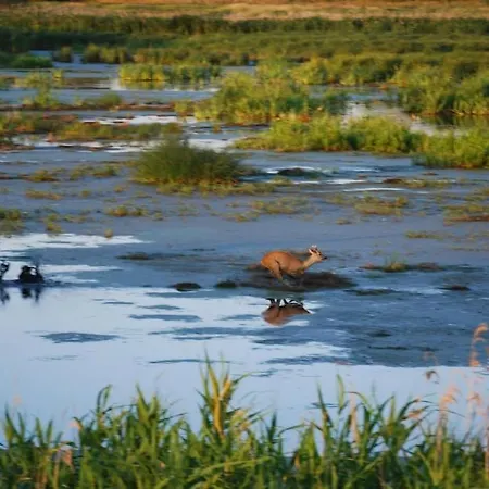Hiddensee Mecklenburg Pool Alte Schule Barlin Apartamento