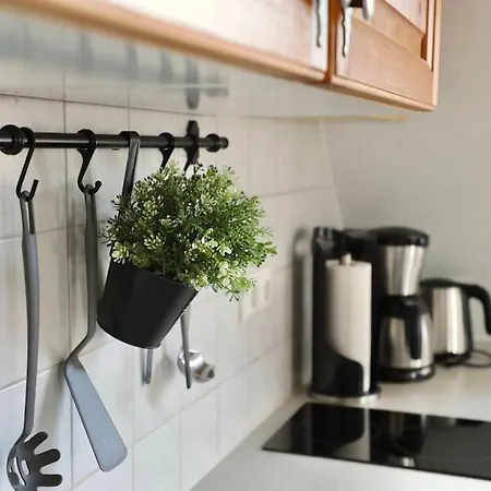 Apartamento Hiddensee Mecklenburg Pool Alte Schule Barlin