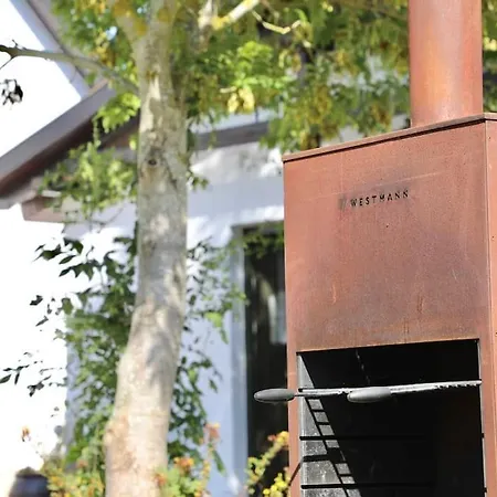 Hiddensee Mecklenburg Pool Alte Schule Barlin * Dargun