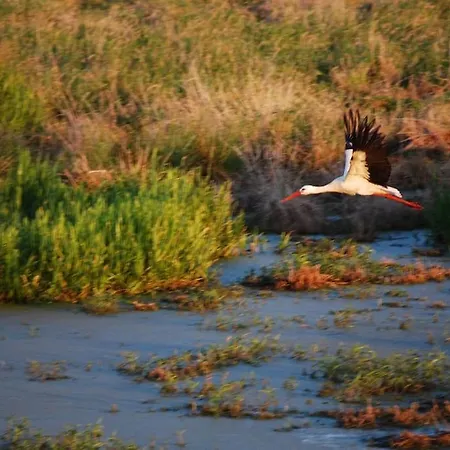 Hiddensee Mecklenburg Pool Alte Schule Barlin Apartamento