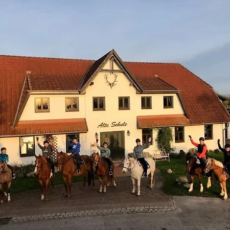 Hiddensee Mecklenburg Pool Alte Schule Barlin Apartamento *